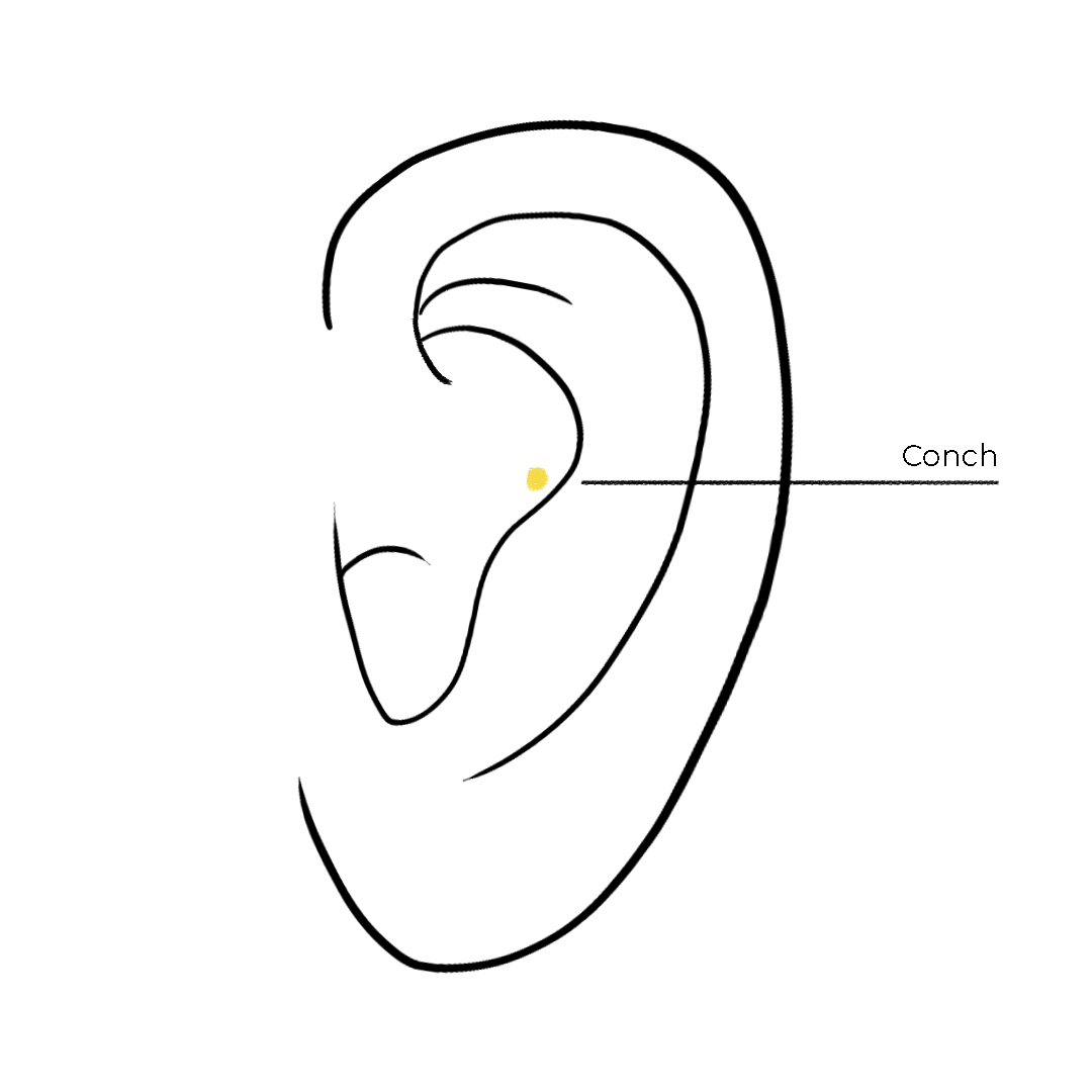 Conch-MEZI-JEWELLERY