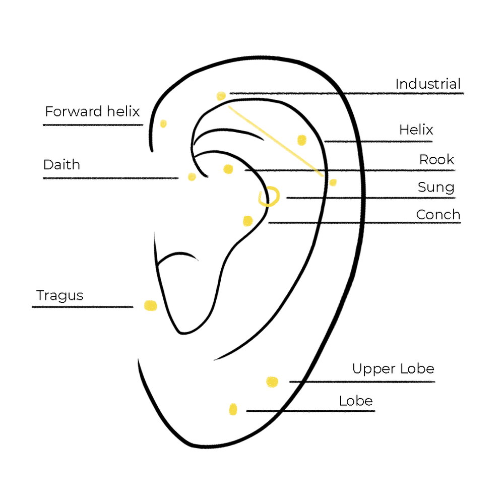 Piercing Prices Sydney | MEZI Piercing Studio Price List
