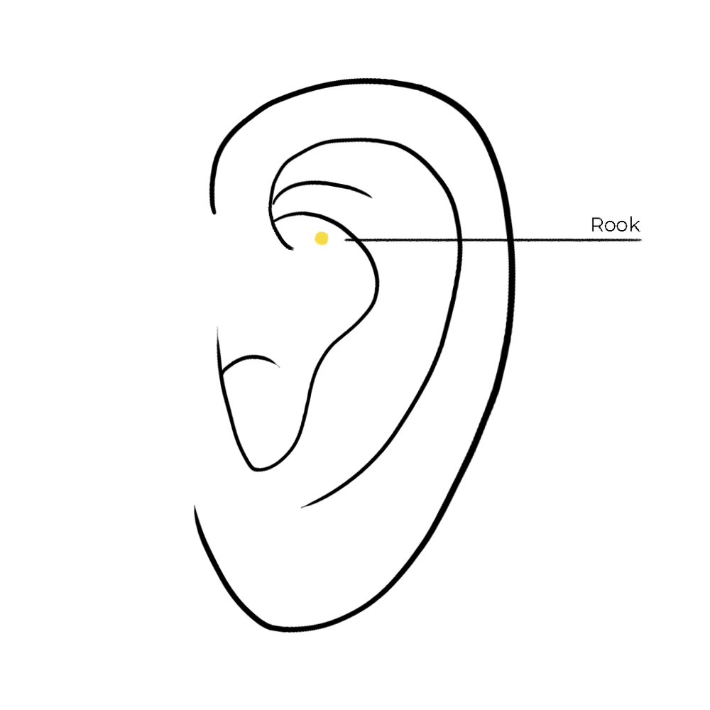 Ear Rook Location Quality Piercing Services and Prices and Professional Studio