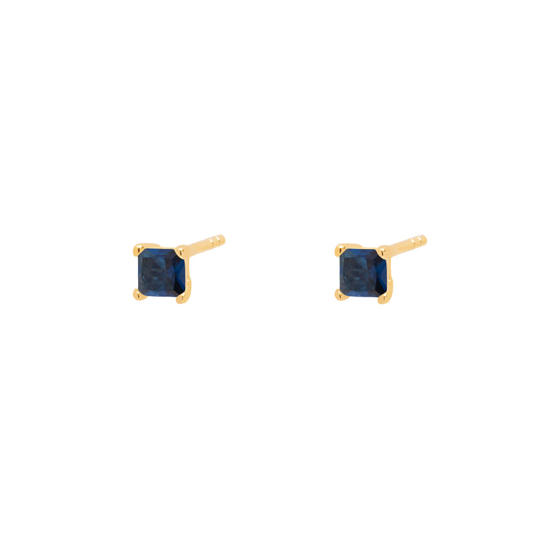 Noam crystal gold studs