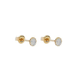 Cleva white crystal 2 micron gold studs