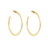 Dafne gold filled hoop earrings
