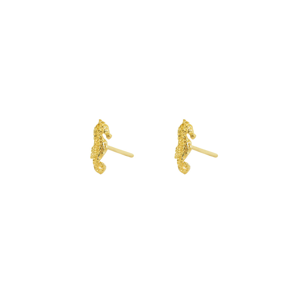 Sea horse 2 micron studs | MEZI