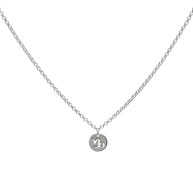 Star sign necklace