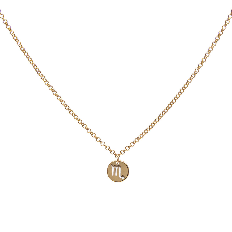 Star sign necklace