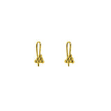 Nario gold earrings