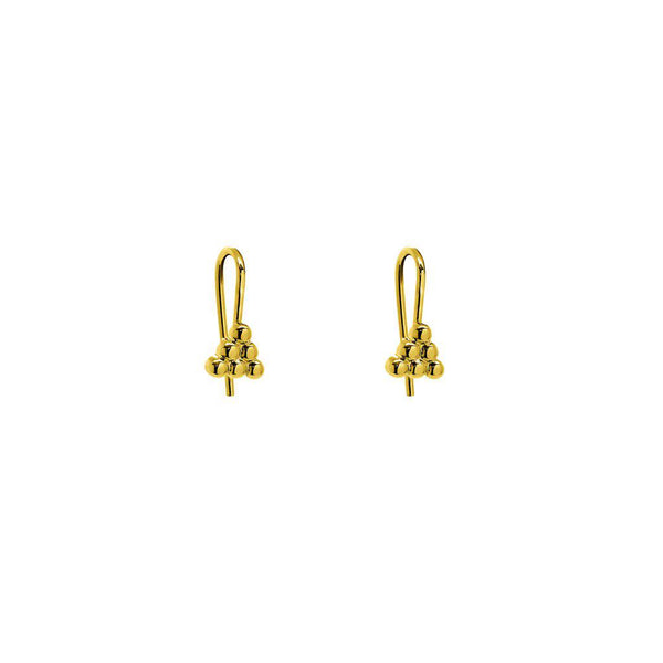 Nario gold earrings