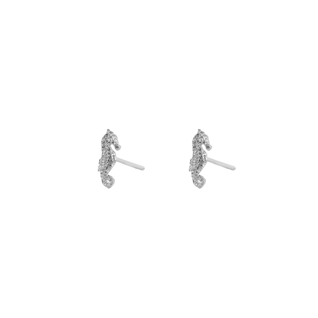 Sea horse 2 micron studs | MEZI