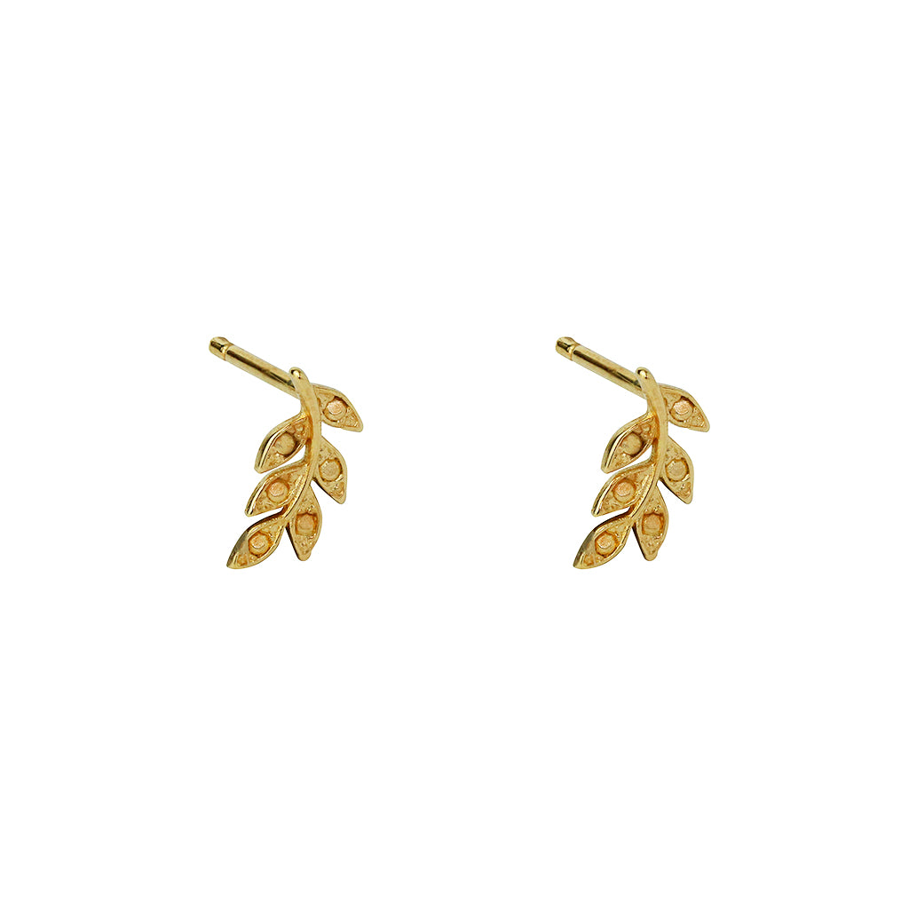 Leaf 2 micron gold stud earrings | MEZI
