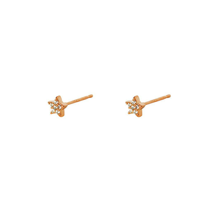 Baha flower crystal studs