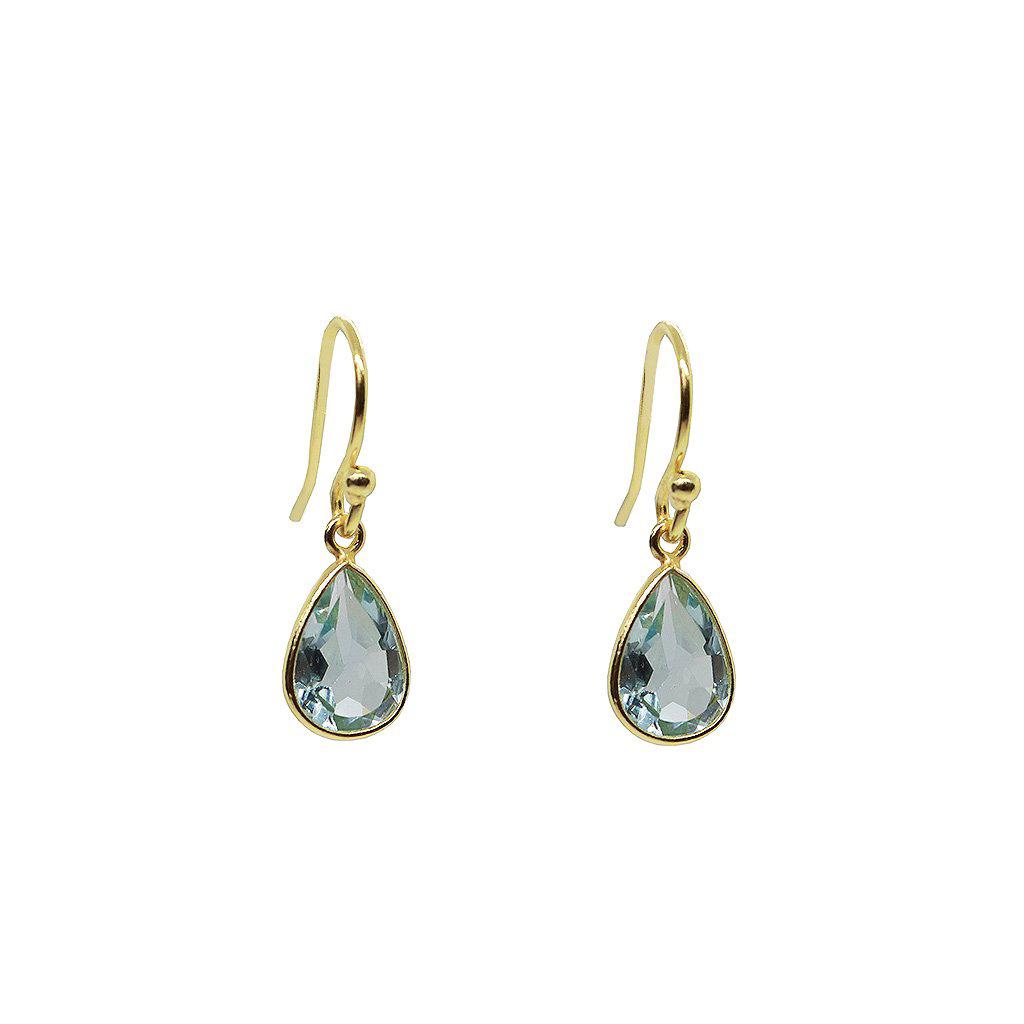 Izora 2 micron gold hook earrings