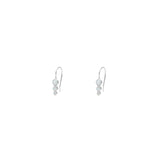 Patsy opalite drop hook earrings