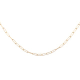 Ally link gold necklace