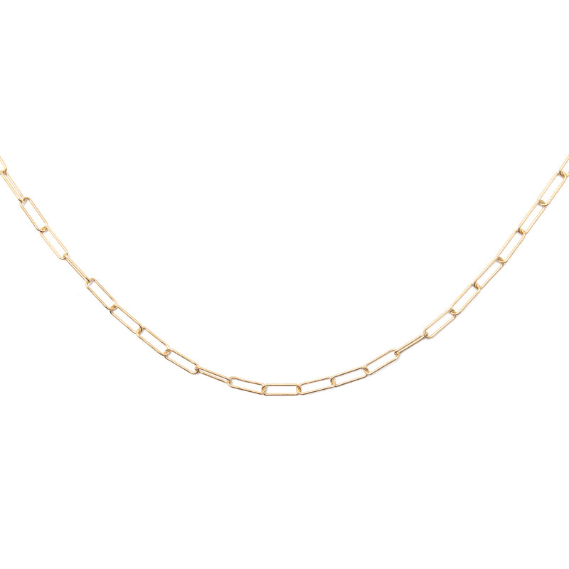 Ally link gold necklace