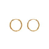 Arro gold vermeil hoops